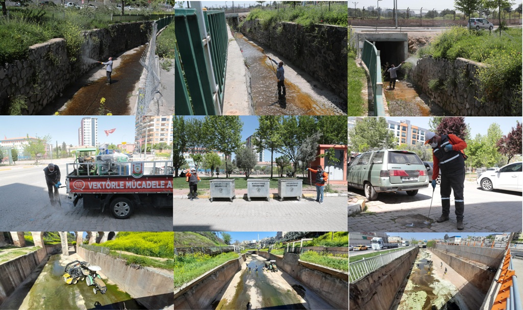 Şanlıurfa Büyükşehir Belediyesi derelerde temizlik ve ilaçlama çalışmasını sürdürüyor